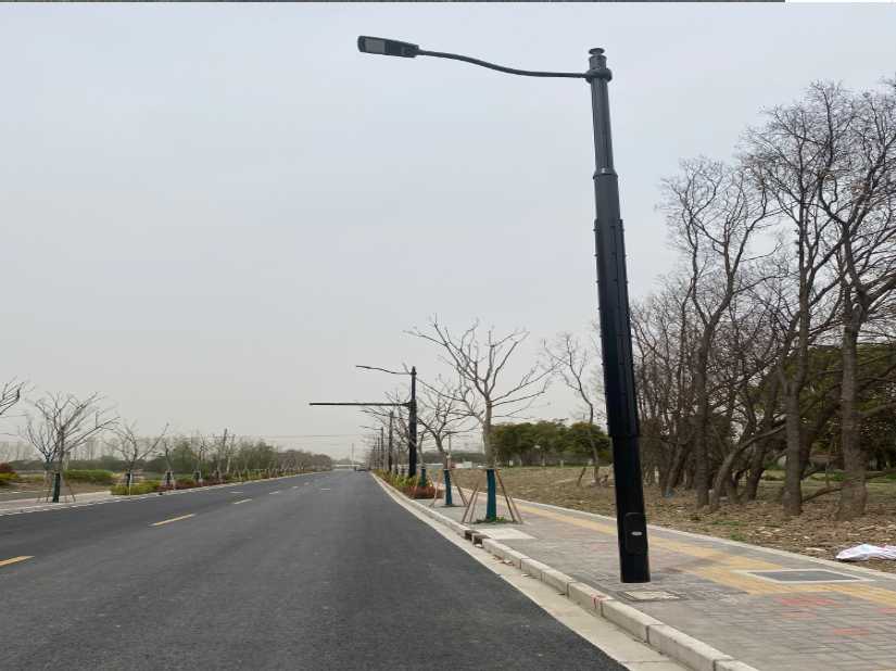 阎良区上海综合杆 太阳能路灯工程